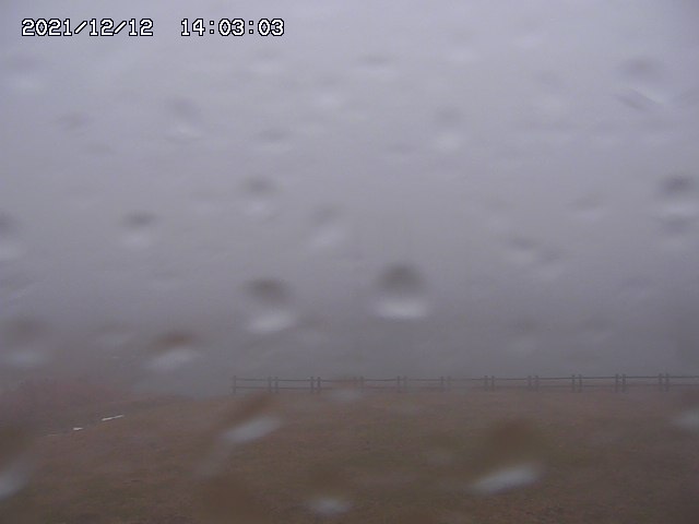 home20211212140303.jpg