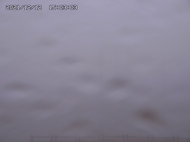 home20211212150303.jpg