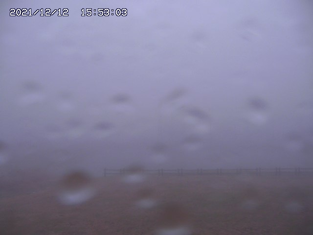 home20211212155303.jpg