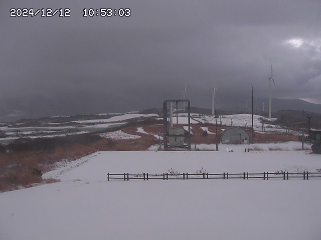 home20241212105303.jpg