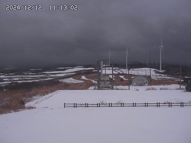 home20241212111302.jpg