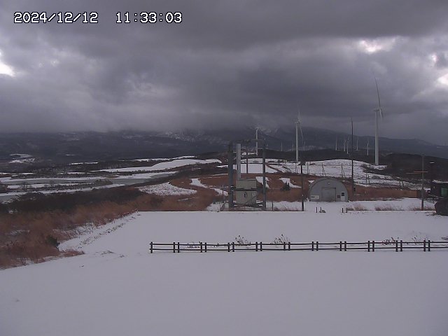 home20241212113303.jpg