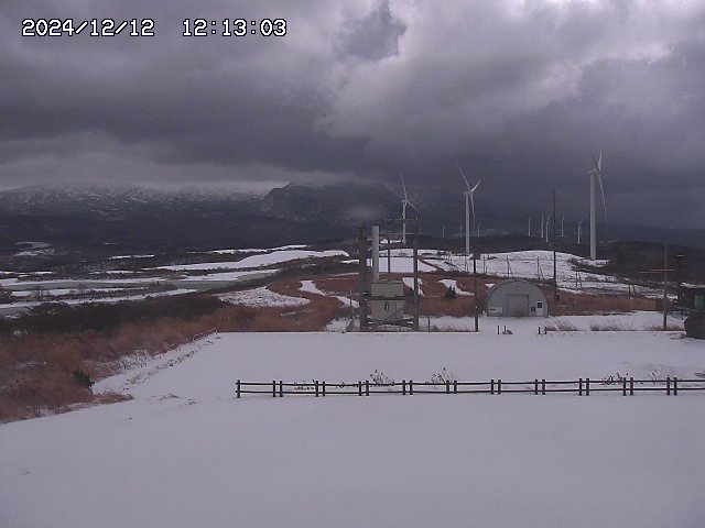 home20241212121303.jpg